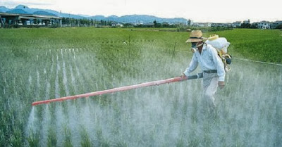 RoundUp de Monsanto está ahora prohibido en El Salvador Read more at http://www.naturalcuresnotmedicine.com/2013/09/monsantos-roundup-is-now-banned-in-el.html#XR5aYiuYMbzQm1m0.99 